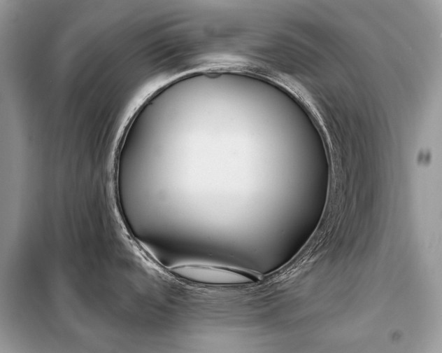 X0000098031488200804181216