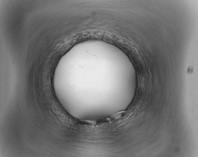 X0000098031489200804181215