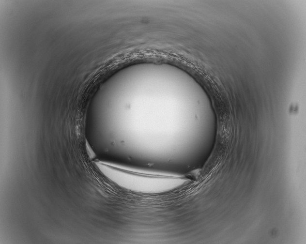 X0000098031490200804181215