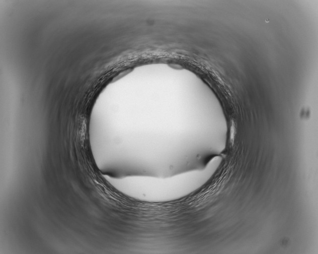 X0000098031492200804181215