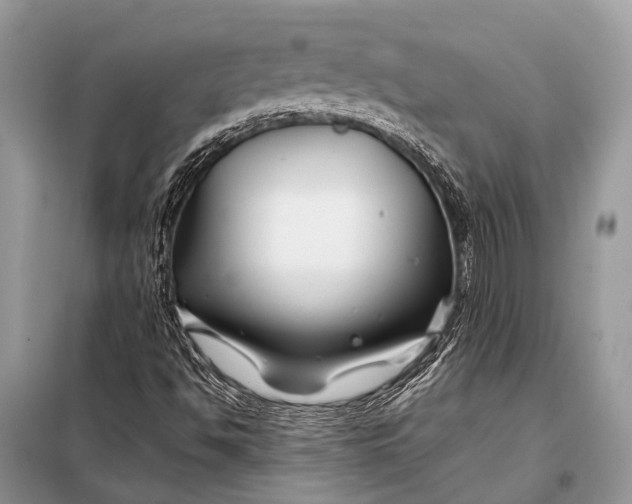 X0000098031494200804181215