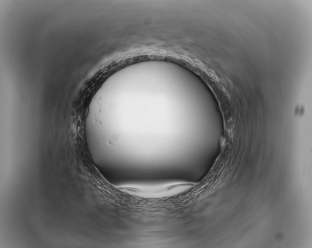 X0000098031495200804181215