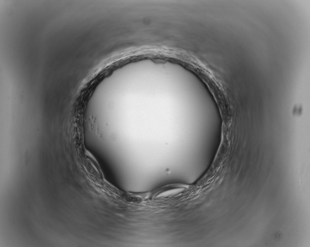 X0000098031496200804181215