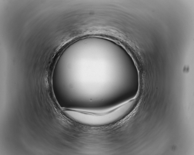 X0000098031497200804181215