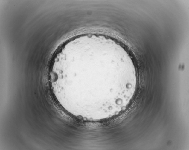 X0000098031498200804181215