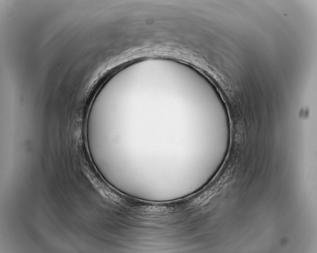 X0000098031499200804181215