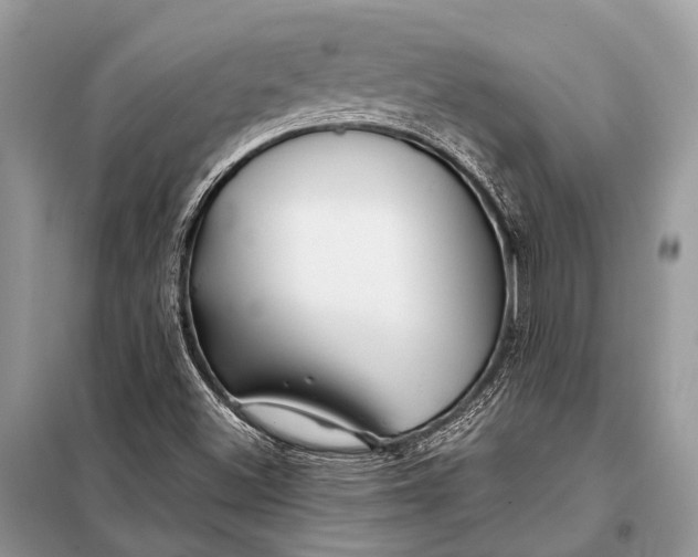 X0000098031500200804181215