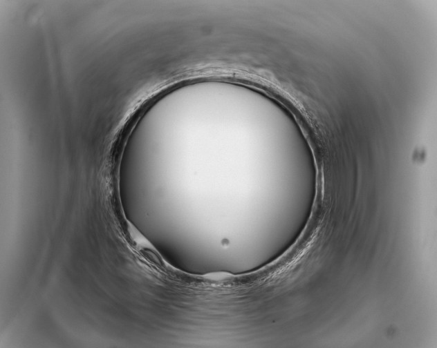 X0000098031501200804181215