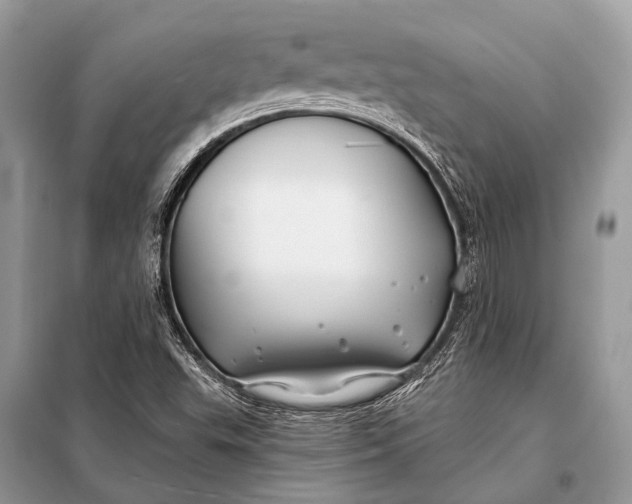 X0000098031503200804181215