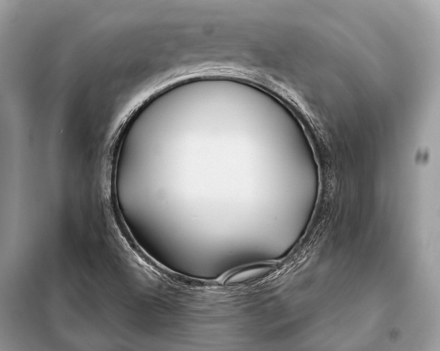 X0000098031504200804181215