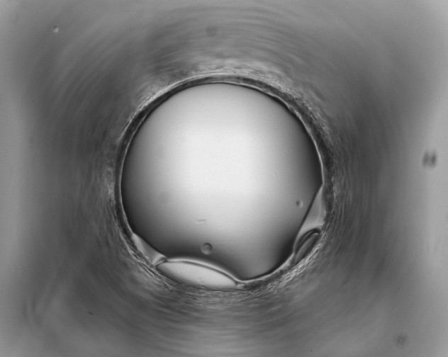 X0000098031505200804181215