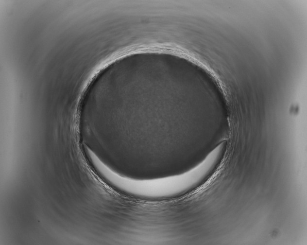 X0000098031506200804181215