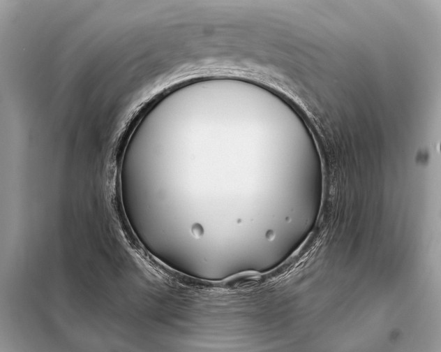 X0000098031507200804181215