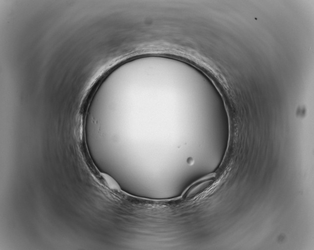 X0000098031509200804181215