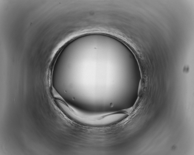 X0000098031510200804181215