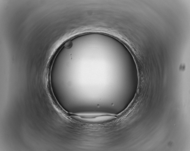 X0000098031511200804181215