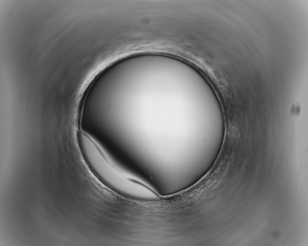 X0000098031512200804181215