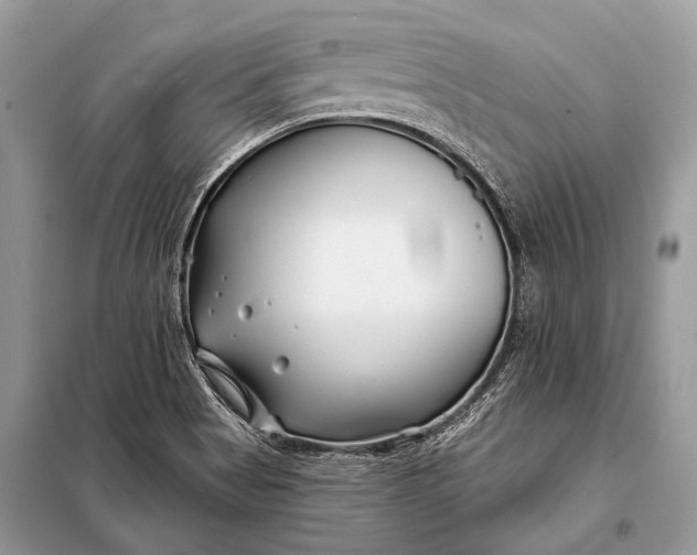 X0000098031513200804181215