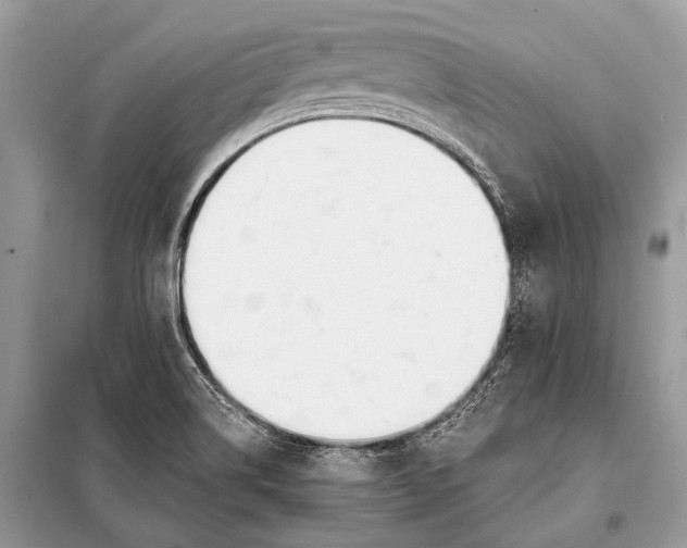 X0000098031514200804181215