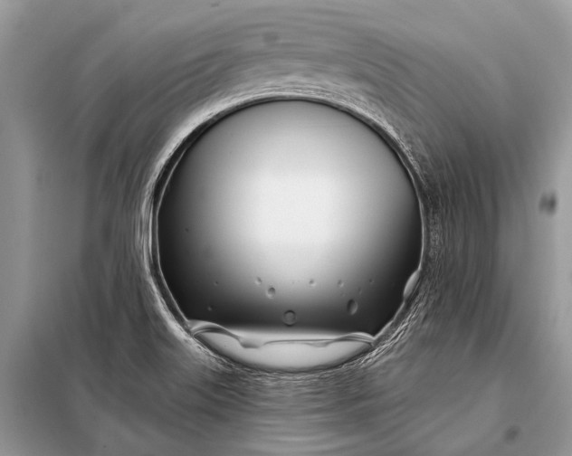 X0000098031515200804181215