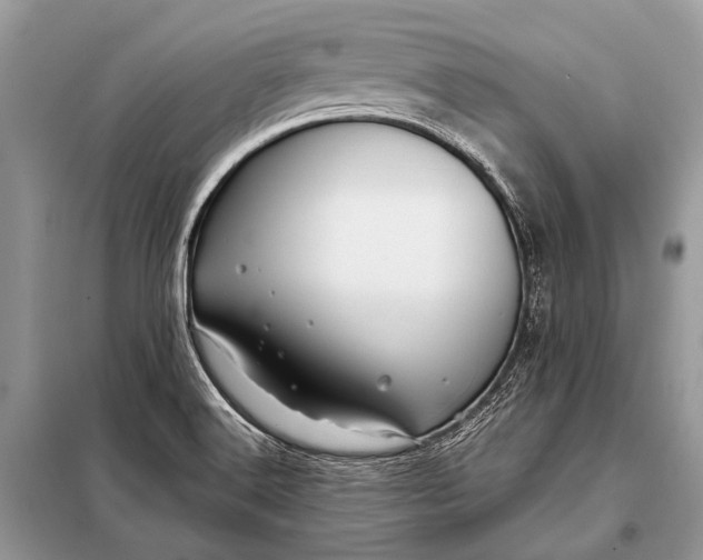 X0000098031516200804181215