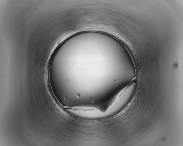 X0000098031517200804181215