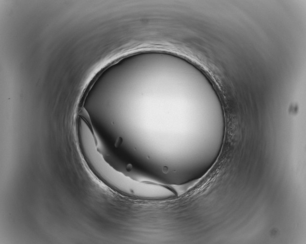 X0000098031519200804181215