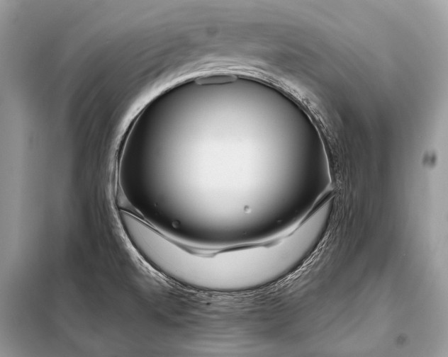 X0000098031520200804181215