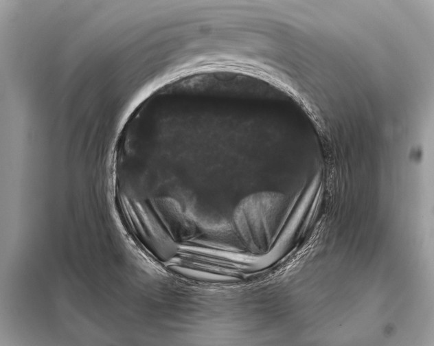 X0000098031522200804181216