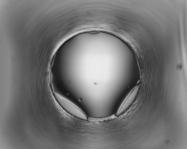 X0000098031524200804181216