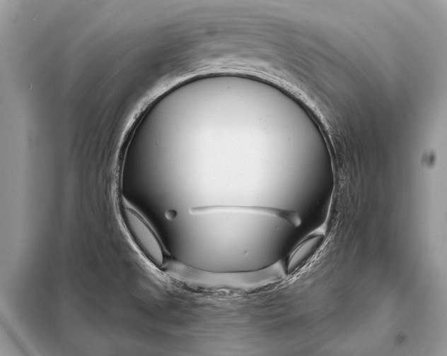 X0000098031525200804181216