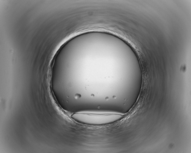 X0000098031526200804181216