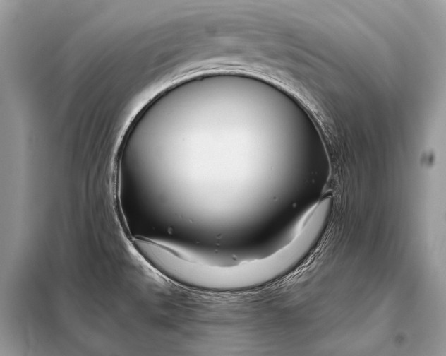 X0000098031527200804181216