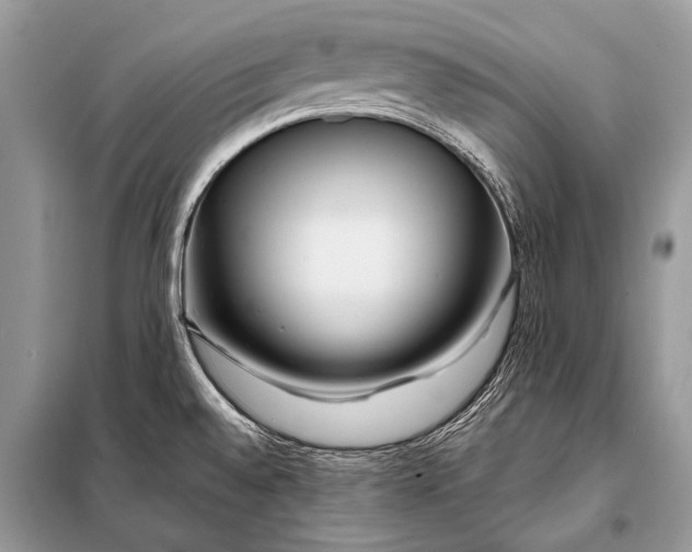 X0000098031528200804181216