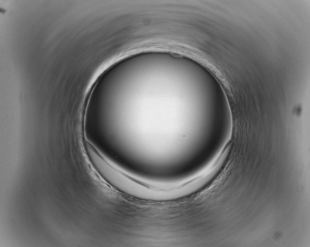 X0000098031530200804181216