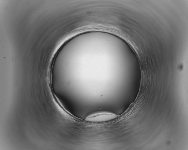 X0000098031531200804181216