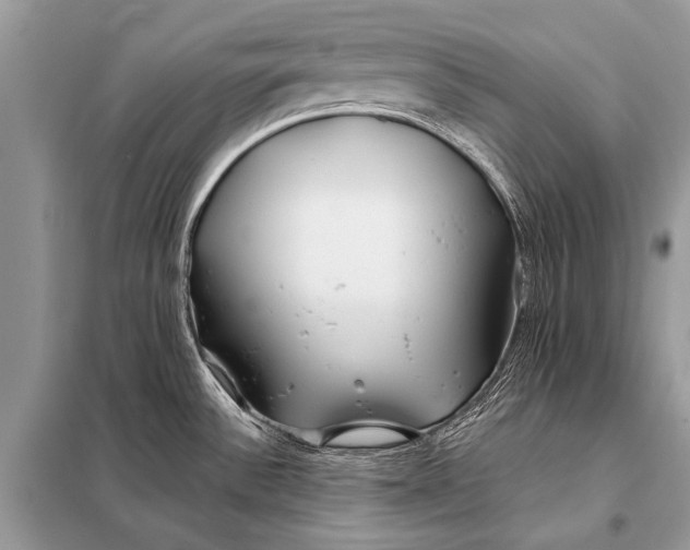 X0000098031532200804181216