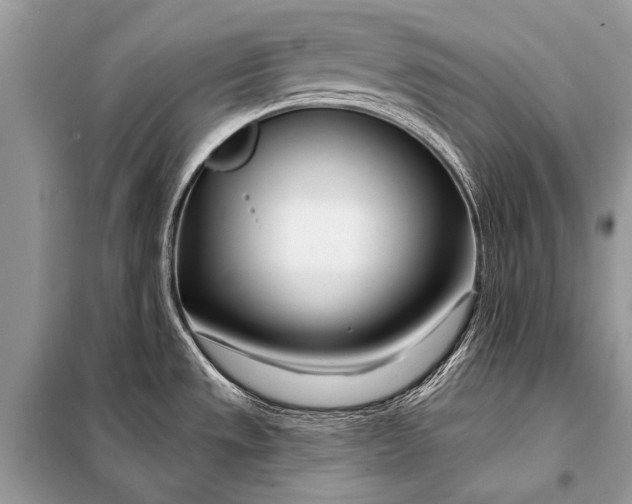 X0000098031533200804181216