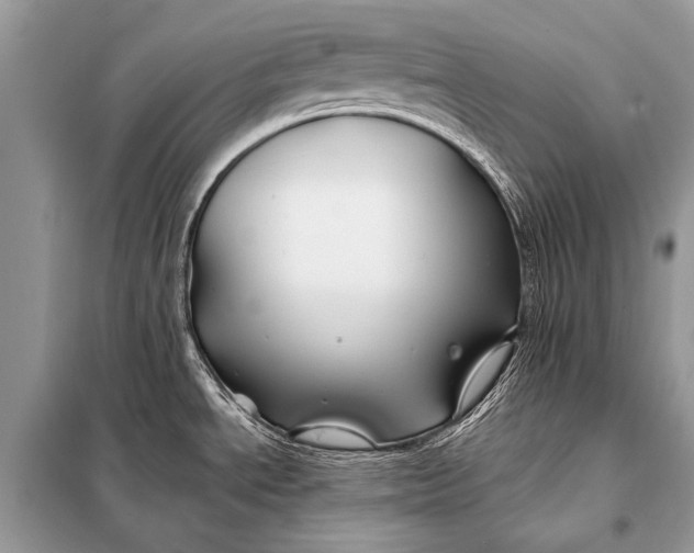 X0000098031534200804181216