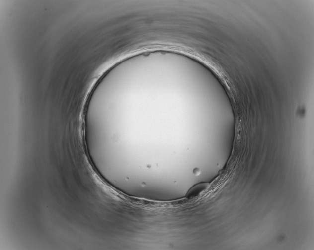 X0000098031535200804181216