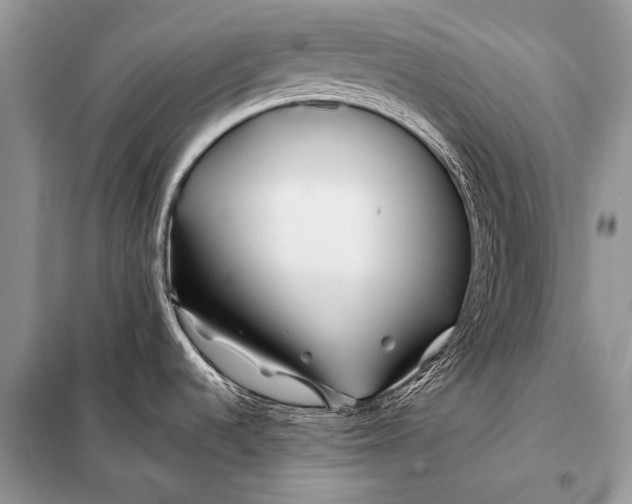 X0000098031536200804181216