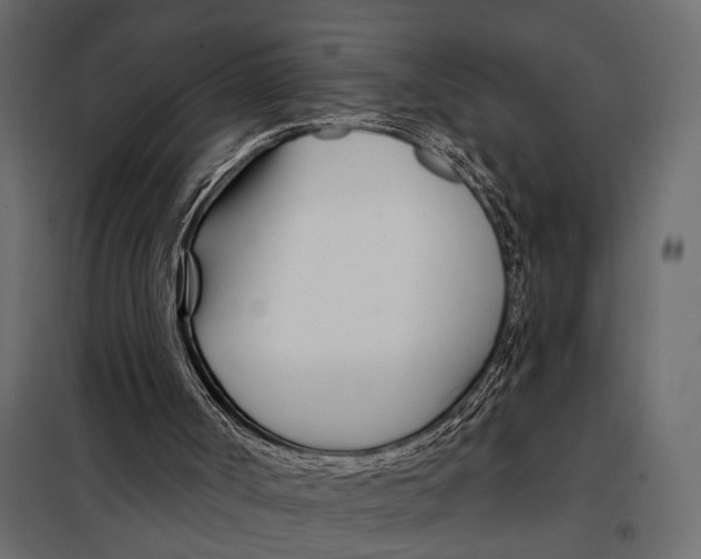 X0000098030002200804251426