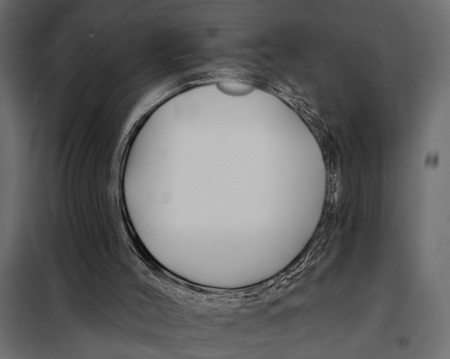 X0000098030004200804251426