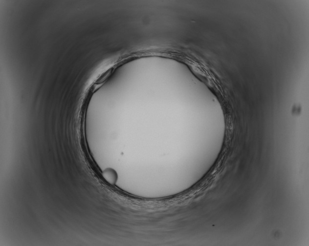 X0000098030006200804251426