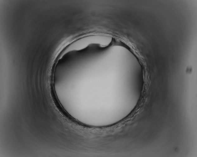 X0000098030007200804251425