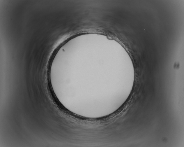 X0000098030008200804251425