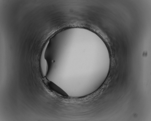 X0000098030009200804251425