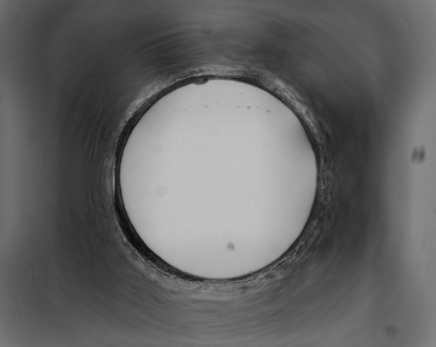 X0000098030011200804251425