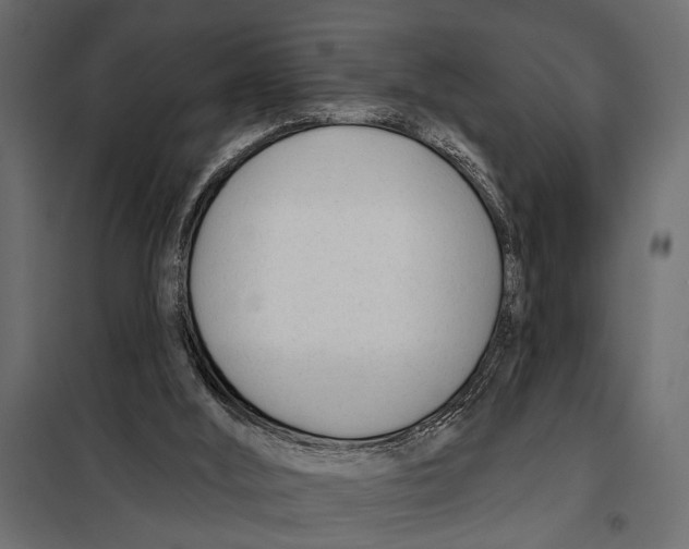 X0000098030012200804251425