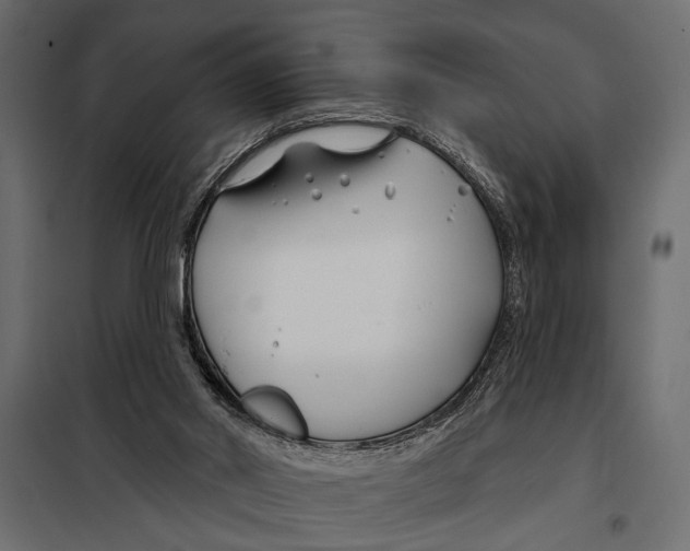 X0000098030014200804251425